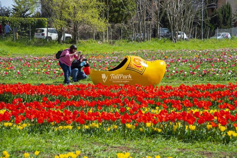 TuliPark franchising — 2