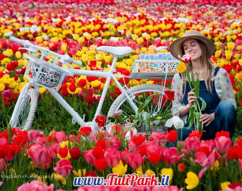 TuliPark franchising — 3