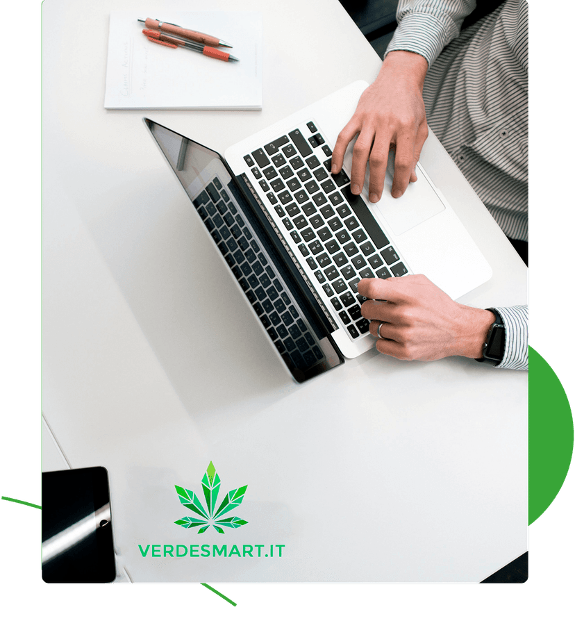 Verdesmart Franchising — 1