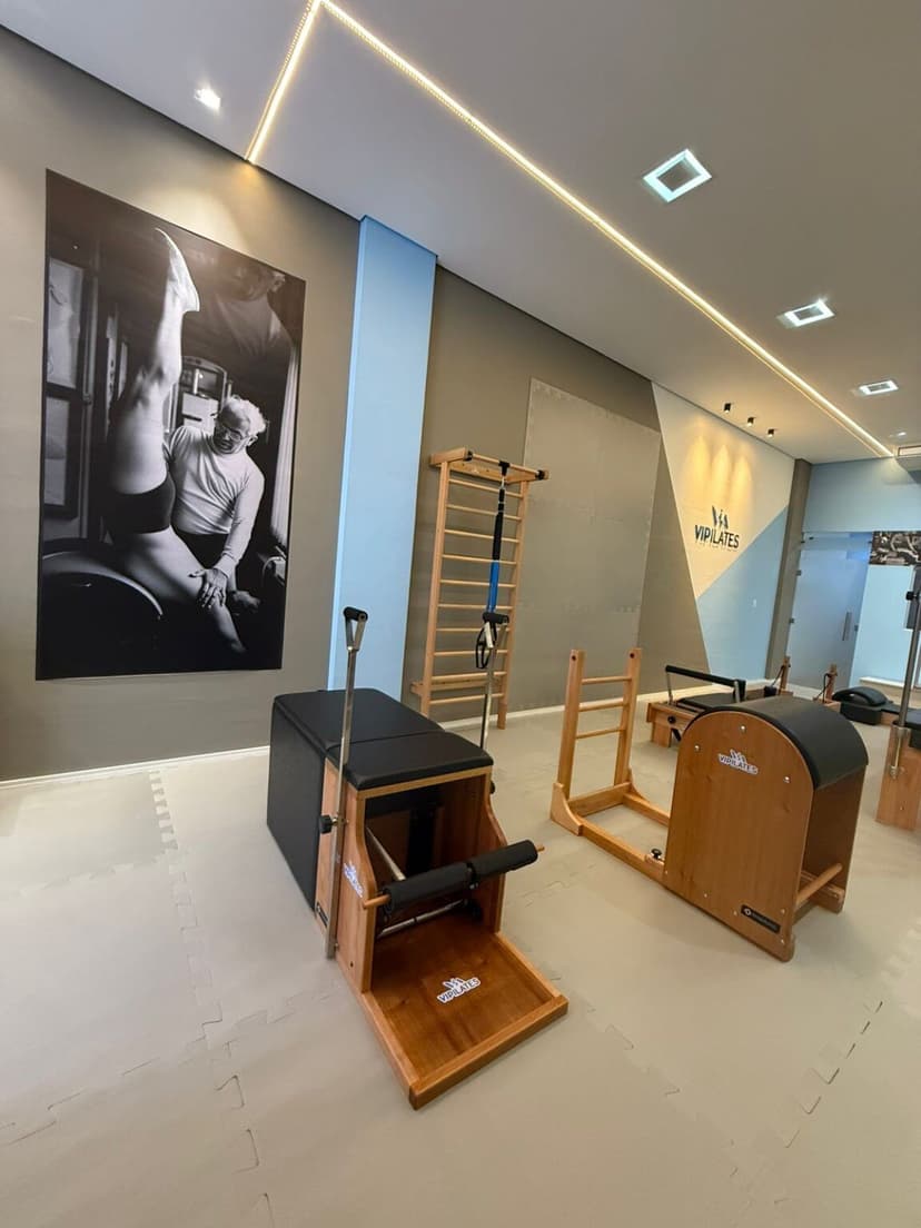 VIPILATES — 4