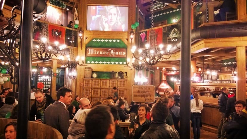 Wiener Haus Franchising — 1