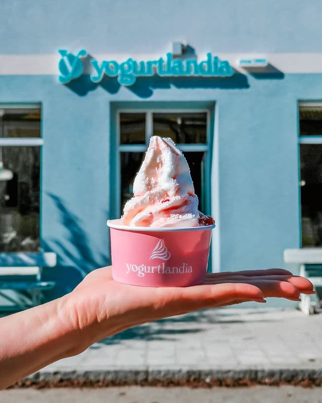 Yogurtlandia Franchising — 4