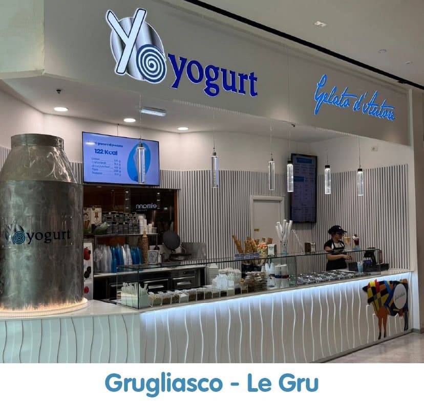 Yoyogurt Franchising — 1