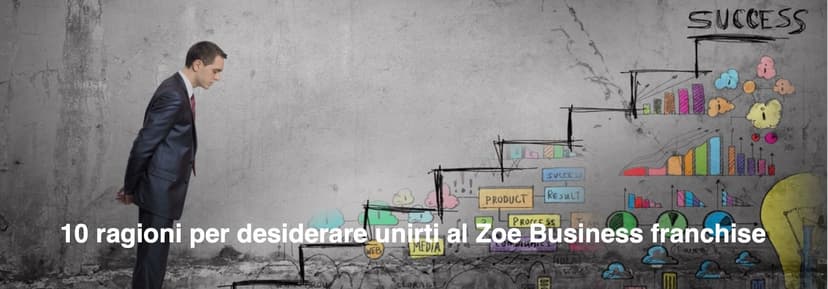 Zoe Web Solution Franchising — 1
