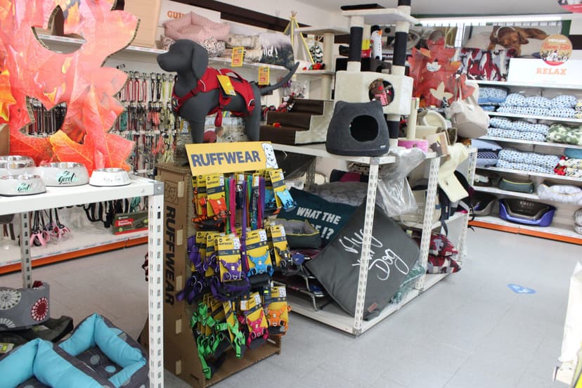 Zooplanet Franchising — 3