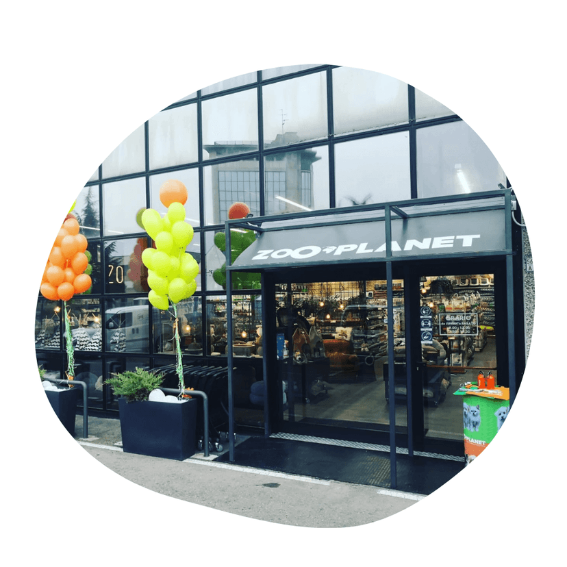Zooplanet Franchising — 4