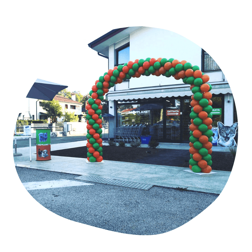 Zooplanet Franchising — 5